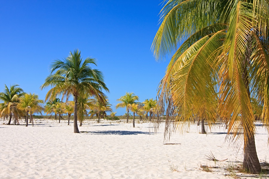 Dest cayo largo b 1