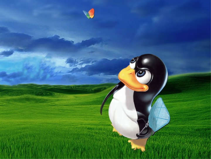 Linux superó el 5 por ciento del mercado… ¿y después bajó?