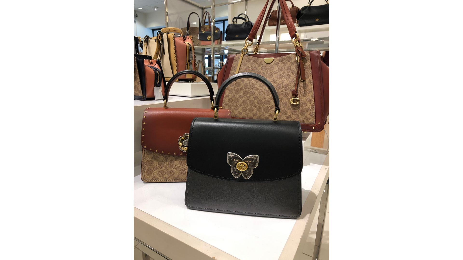 Coach top parker butterfly