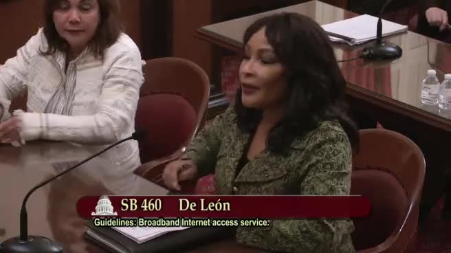 Preview image for SB 460