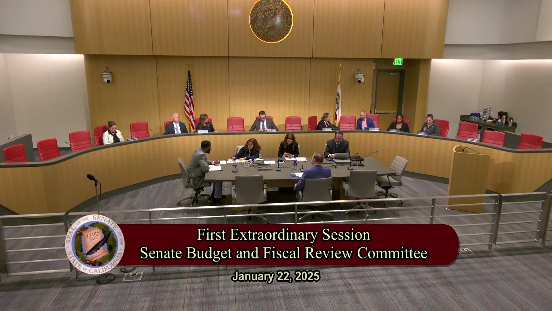Senate Extraordinary Committee on Budget and Fiscal Review