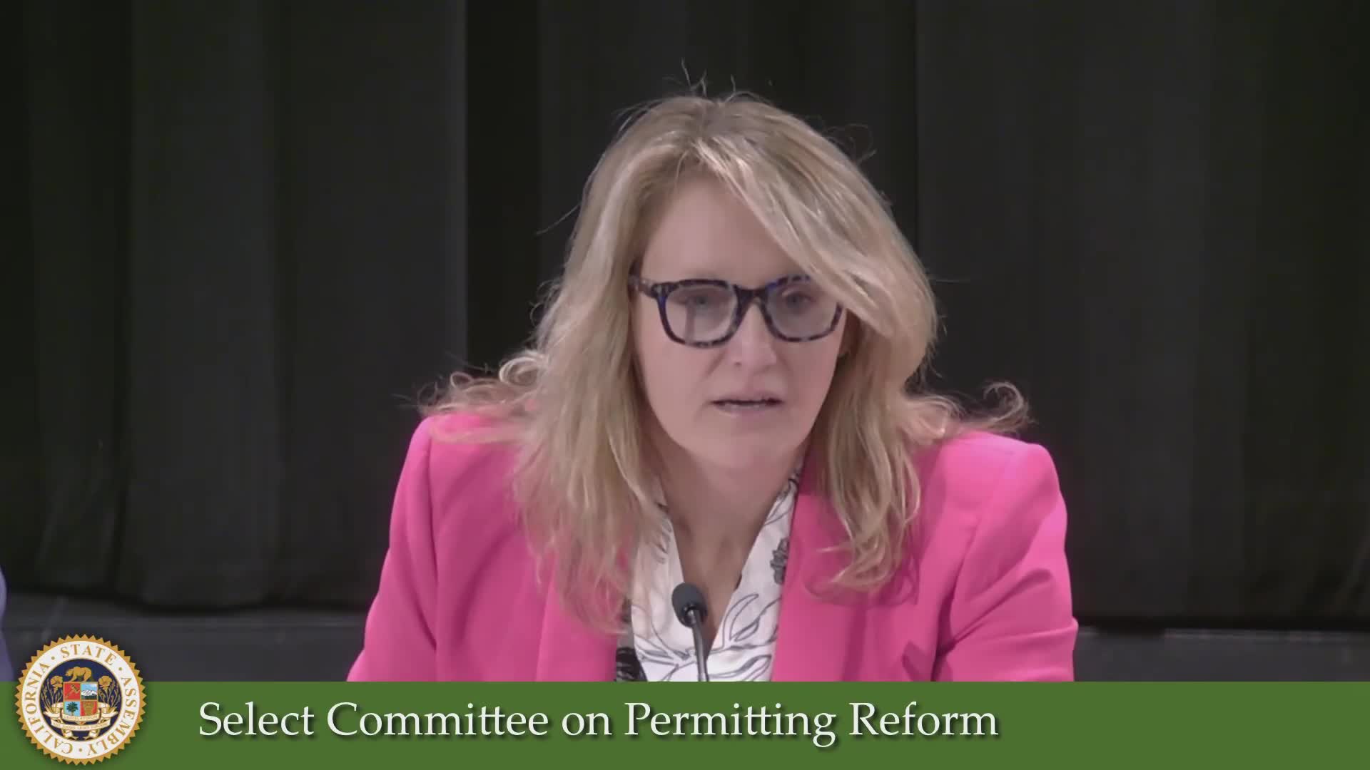 Assembly Select Committee on Permitting Reform Video