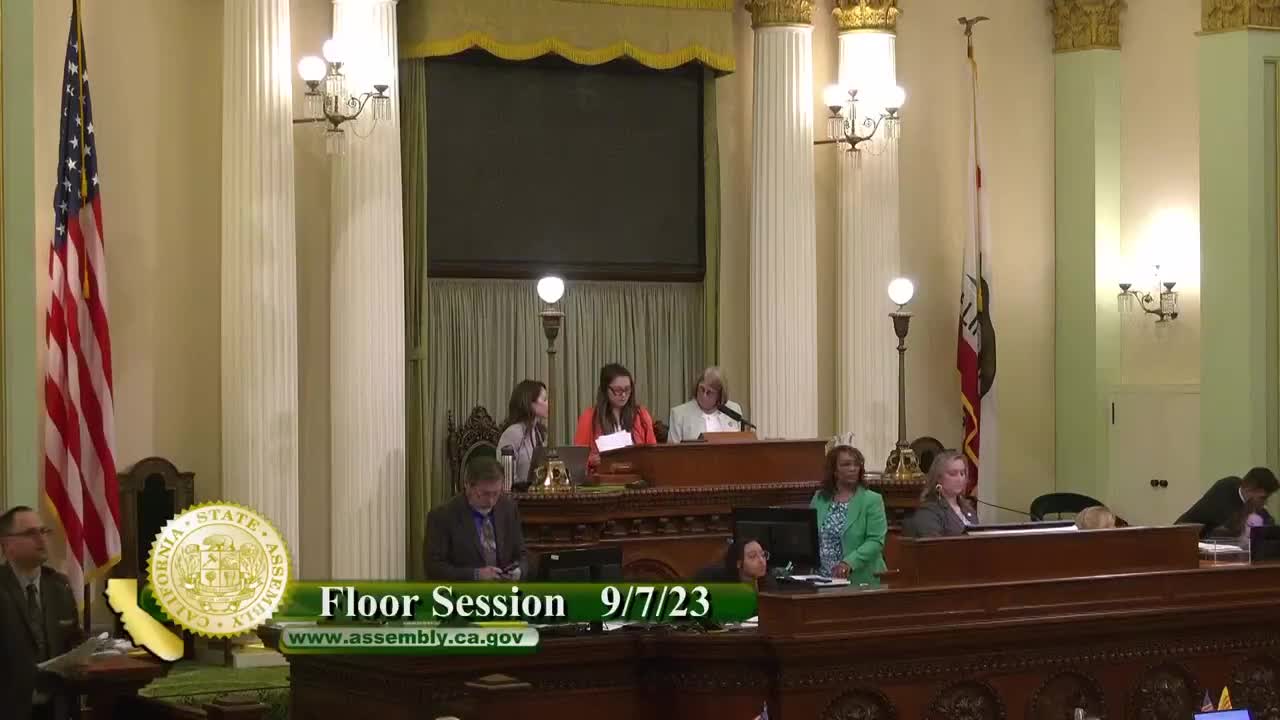 Preview image for SB 241