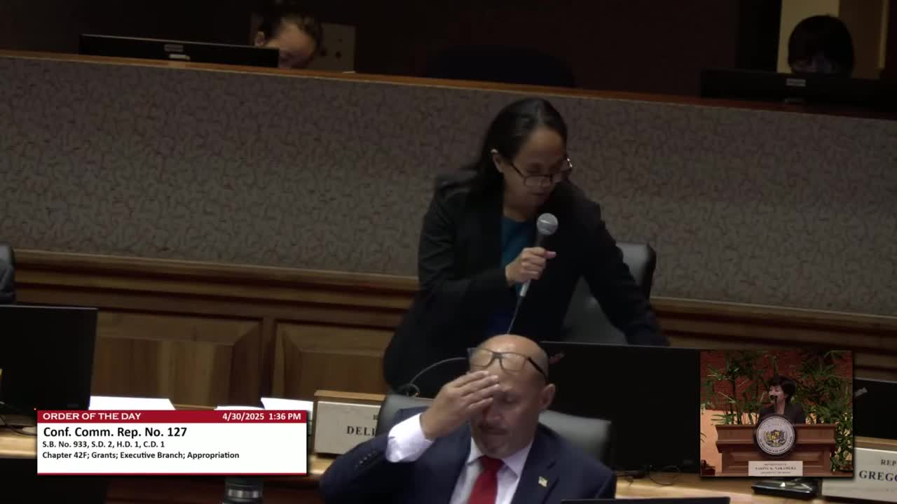 House Floor