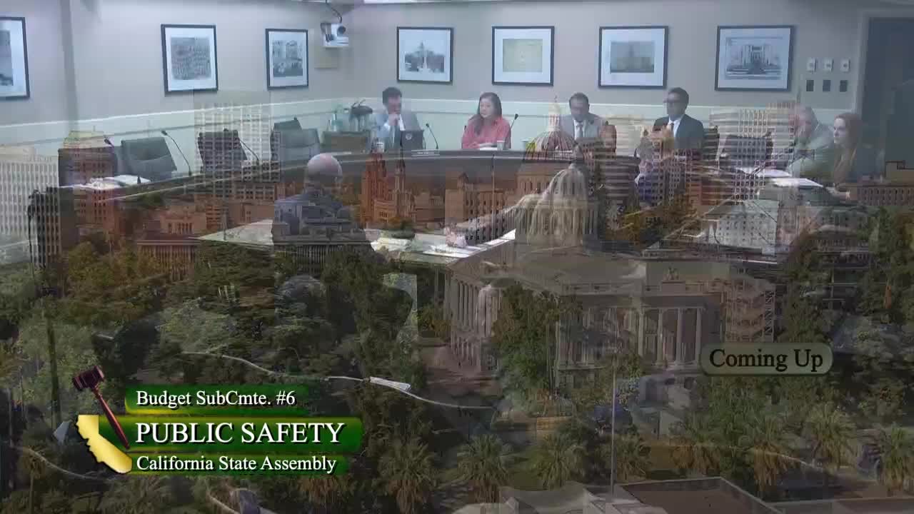 Assembly Budget Subcommittee No. 6 on Public Safety Video
