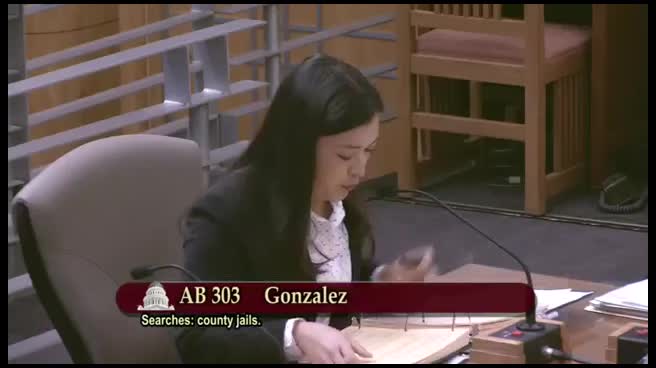 Preview image for AB 303