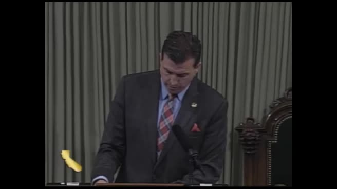 Preview image for SB 939