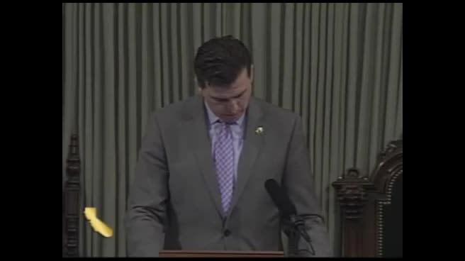 Preview image for SB 242