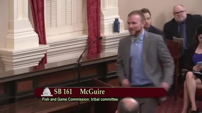 Preview image for SB 161