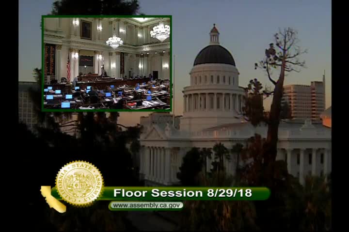 Assembly Floor