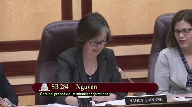 Preview image for SB 393