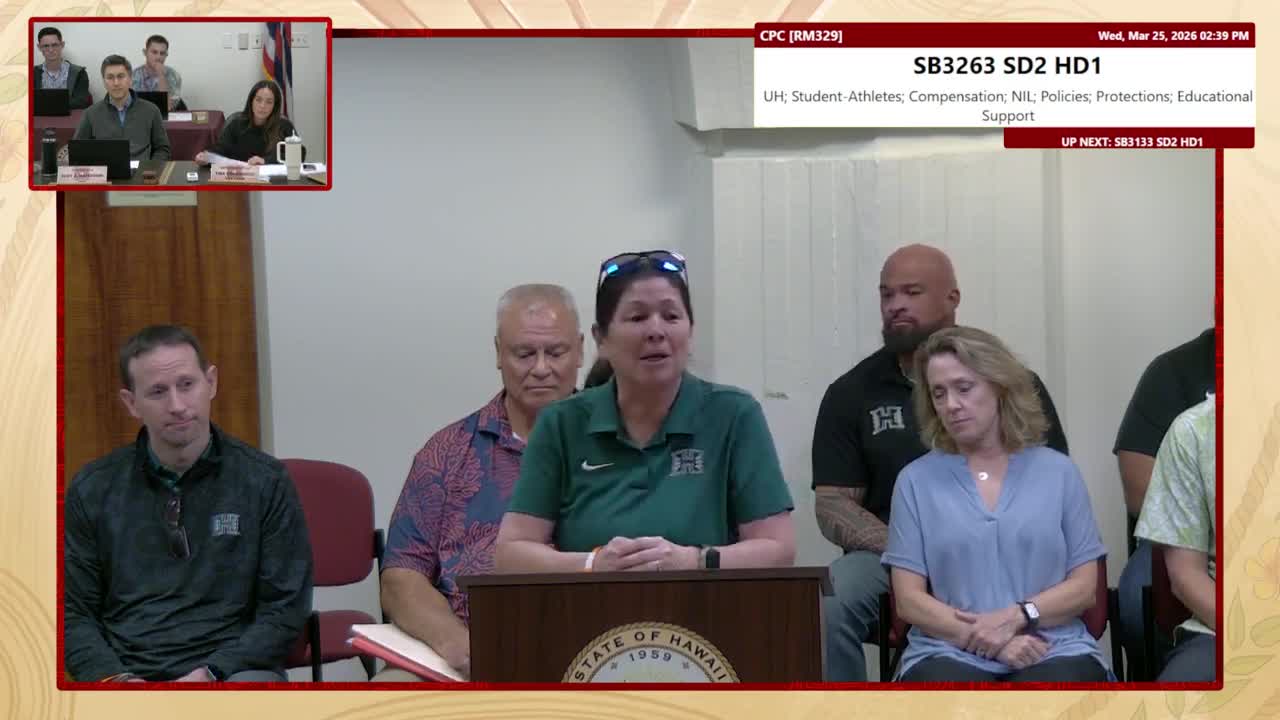 Preview image for SB 3133