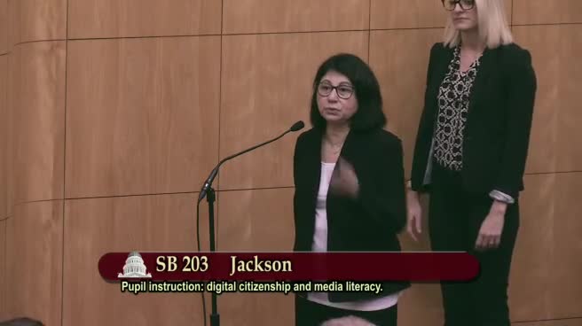 Preview image for SB 203