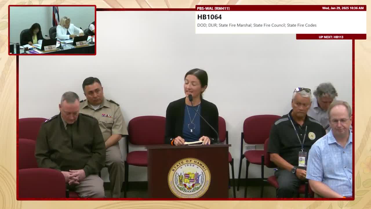 Preview image for HB 113