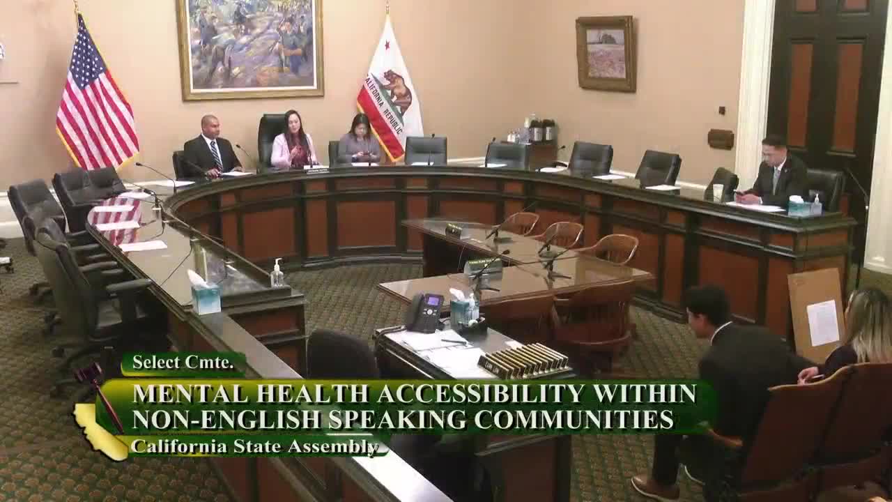 Assembly Select Committee on Mental Health Accessibility within Non-English  Speaking Communities Video