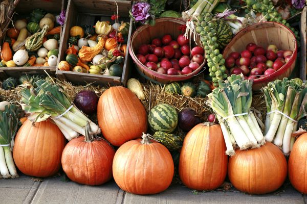 Fall vegetables, pumpkins, gourds, watermelons, apples, cabbage and leeks, on display