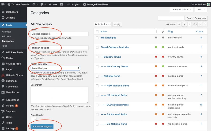 Creating a new category in WordPress