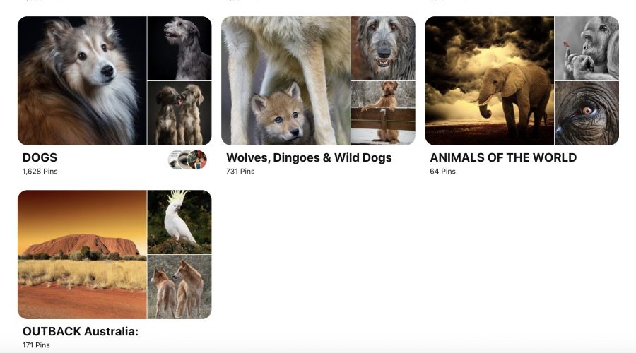 An example of a Pinterest profile