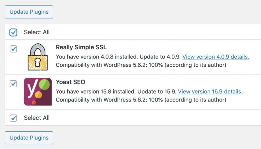 The WordPress Update Plugins Page
