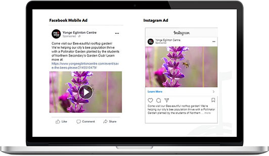 social ads
