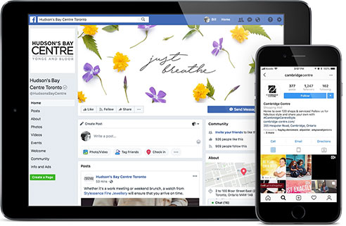 facebook page