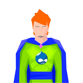 Drupal 8 Developer