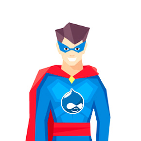 Senior Drupal Developer