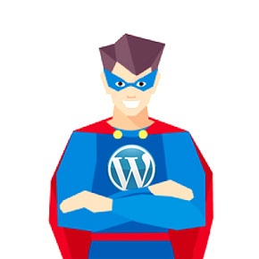 Senior Wordpress Developer