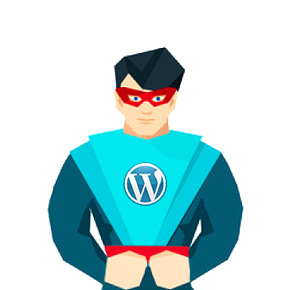 Wordpress Web Developer