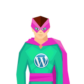 Wordpress Plugin Developer