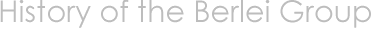 the History of The Berlei Group