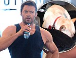 Hugh Jackman was at the gym in New York with his dog 