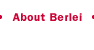 About Berlei