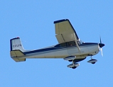 Cessna 175 Skylark