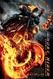 Ghost Rider: Spirit of Vengeance Image