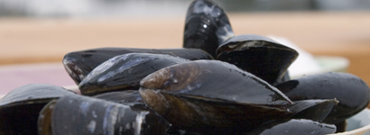 Muslingefiskeriet er med til at modvirke iltsvind, fordi muslingerne optager megen ilt. 