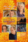 Poster for The Best Exotic Marigold Hotel