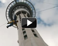 Experience Auckland's Sky Tower