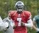 Vick to play