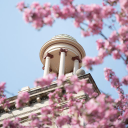 Colorado School of Mineslogo