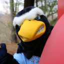 Dutchess Community Collegelogo