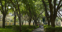Jacksonville Universitylogo