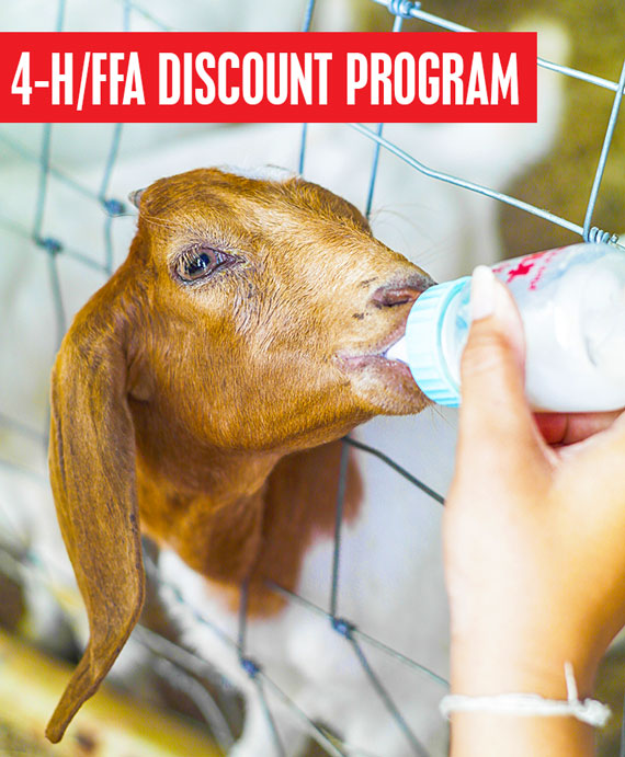 A picture of a baby goat drinking from a bottle. Text on the image reads, 4h ffa discount program.