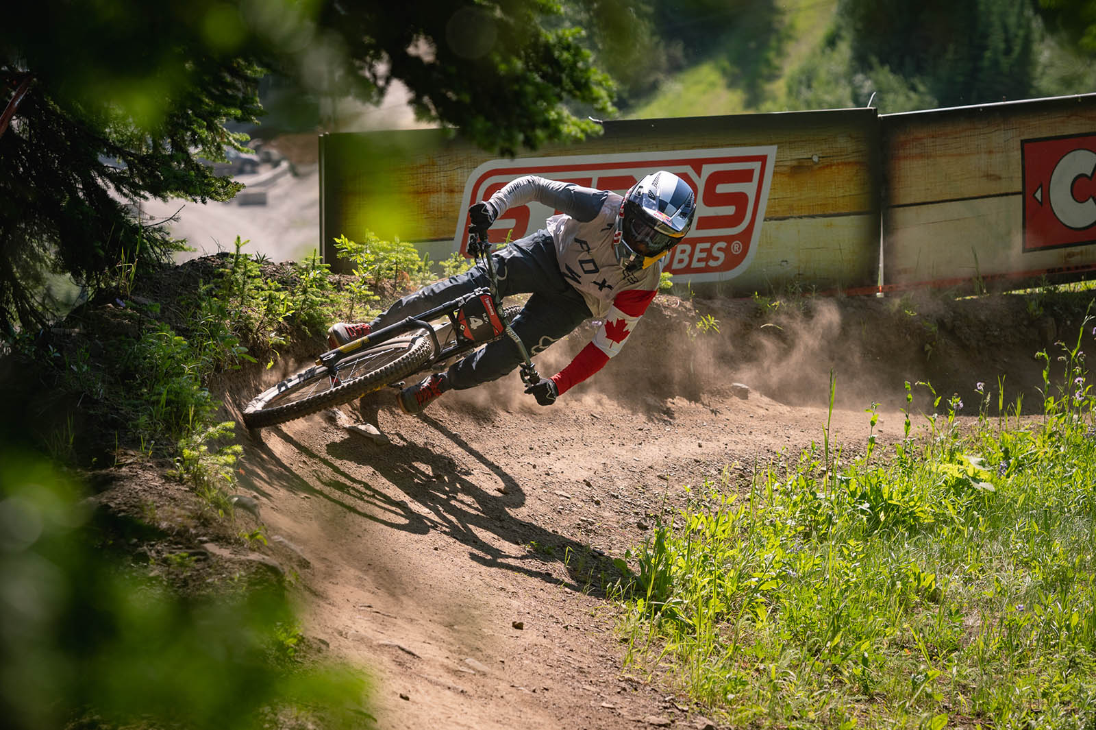 MAXXIS SilverStar Downhill