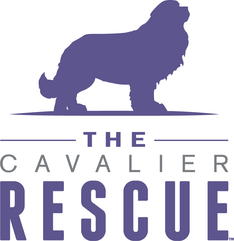 Cavalier Rescue