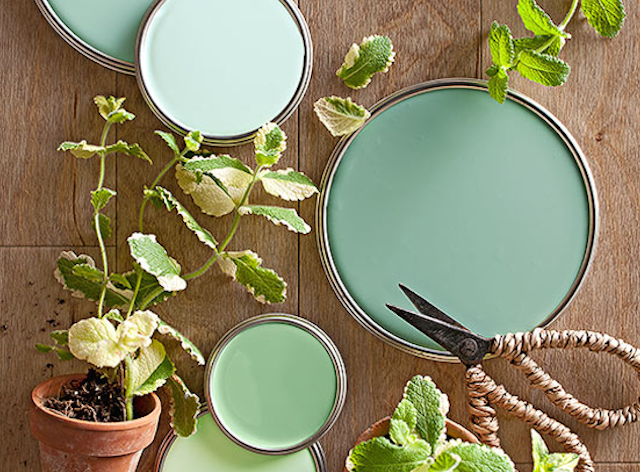 Green With Envy. Our Favorite Shades of Green For Spring - White Orchid ...