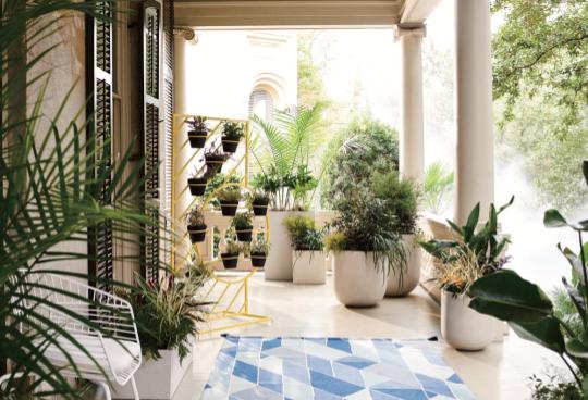 west elm summer collection