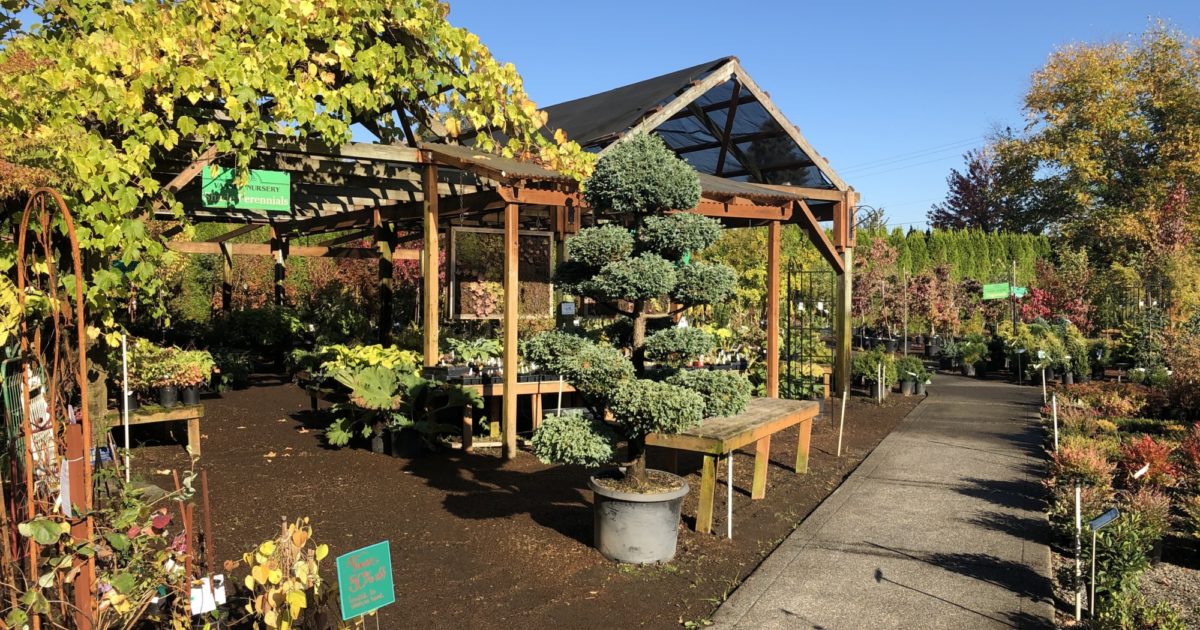 Vassey Nursery in Puyallup Has it… Windermere Professional Partners
