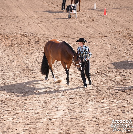 2024 ANLS Horse Show