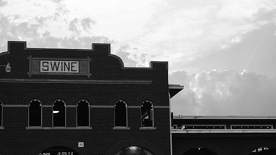 MSF Swine Barn #2